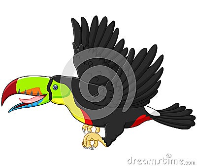 Cute cartoon toucan bird flying Vector Illustration