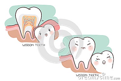 Cute cartoon wisdom teeth Vector Illustration