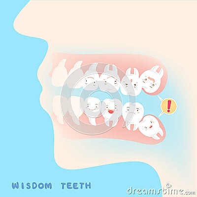 Cute cartoon wisdom teeth Vector Illustration