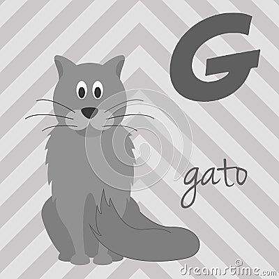 Cute cartoon zoo illustrated alphabet with funny animals. Spanish alphabet: G for Gato. Vector Illustration