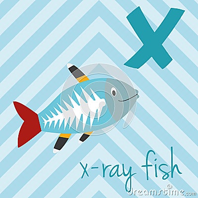 Cute cartoon zoo illustrated alphabet with funny animals: X for X-Ray Fish. Vector Illustration
