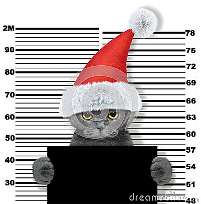 Cute cat as santa claus in prison. on white Stock Photo