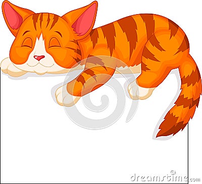 Cute cat cartoon sleeping Vector Illustration