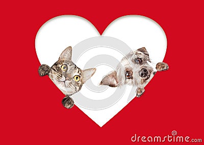 Cute Cat and Dog Peeking Out Of Cutout Heart Stock Photo