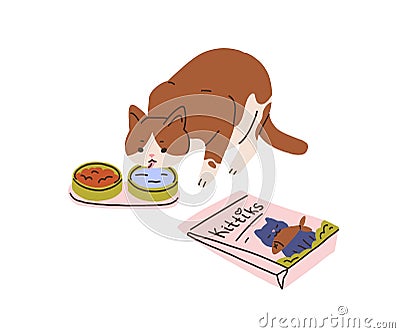 Cute cat eating food, drinking water from bowls. Hungry adorable kitty and healthy feline feed, nutrition. Happy home Vector Illustration