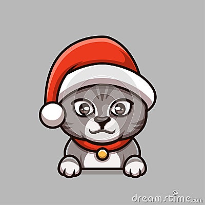 Cute Cat Grey Chirstmas Stock Photo