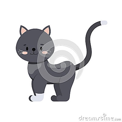 Cute cat icon isolated on white background. Vector Illustration