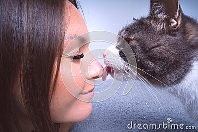 Cute cat licking or kissing woman& x27;s nose. Cat and owner together Stock Photo