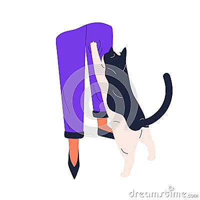 Cute cat lifting paws up on owner's leg with anticipation, asking for smth. and draw attention. Communication between Vector Illustration