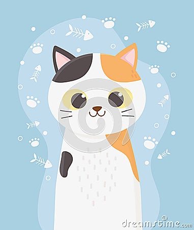 Cute cat pet with spots fishbone and paws cartoon Vector Illustration