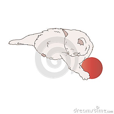 Cute cat playing with red ball Stock Photo