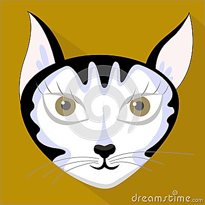 Cute cat vector design. Vector Illustration