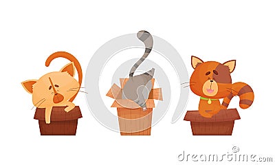 Cute cats in boxes set. Adorable funny pet animals sitting, sleeping and playing in cardboard box cartoon vector Vector Illustration