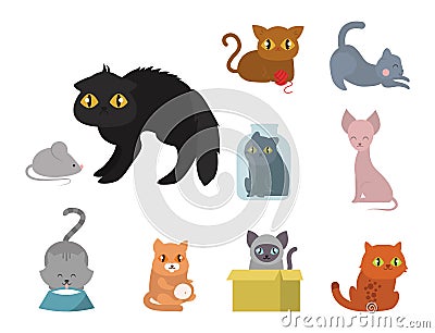 Cute cats character different pose funny animal domestic kitten vector illustration. Vector Illustration