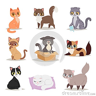 Cute cats character different pose vector Vector Illustration