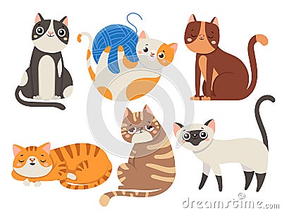 Cute cats. Fluffy cat, sitting kitten character or domestic animals isolated vector illustration collection Vector Illustration