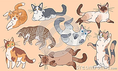 Cute cats. Funny different breeds kittens , pets sleeping and playing cartoon vector characters set Vector Illustration