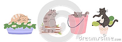 Cute cats in plant pots and bucket. Funny cat hooligan and destroyer. Home animals, pets sleeping in vase and wooden box Vector Illustration
