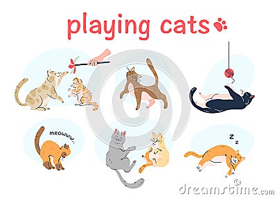 Cute cats playing with each other, toy, thread ball, meowing, sleeping isolated on white background. Vector Illustration