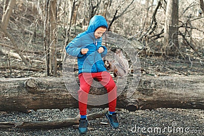 Cute Caucasian boy feeding grey squirrel in park. Adorable little kid giving food nuts to wild animal in forest. Child learning Stock Photo