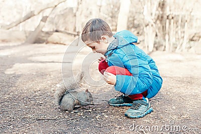 Cute Caucasian boy feeding grey squirrel in park. Adorable little kid giving food nuts to wild animal in forest. Child learning Stock Photo