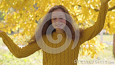 Pretty Caucasian Redhead Girl with Long Curly Hair Standing on the  Background of Yellow Leaves and Smiling To the Camera Stock Video - Video  of autumn, look: 160474613