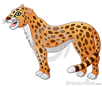 Cute cheetah cartoon Vector Illustration