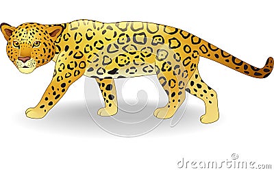 Cute cheetah cartoon Vector Illustration