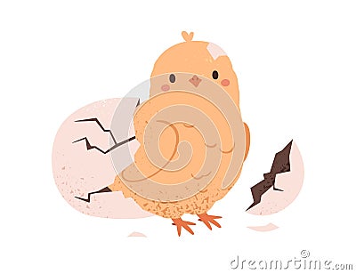 Cute chick hatched from egg shell. Funny yellow newborn chicken, baby bird outside cracked damaged crashed eggshell. New Vector Illustration