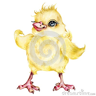 Cute chick. Watercolor illustration on a white background. Easter card, poster for the nursery. Cartoon Illustration