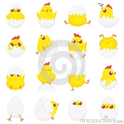 Cute chicken in egg. Easter baby chick, newborn chickens in eggshell and farm kids chicks isolated cartoon vector Vector Illustration
