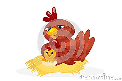 Cute chicken family character on white background Vector Illustration