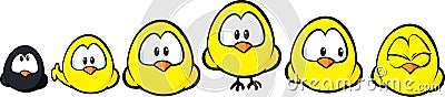 Cute chicken in raw Vector Illustration