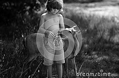 Cute child feed baby fawn deer bambi outdoor. Pretty boy with graceful animal at park. Kids adaptation. Stock Photo