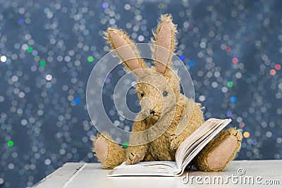 Cute child`s toy rabbit reading at storytime. Stock Photo