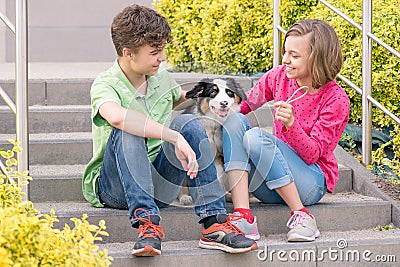 Teen boy and girl playing with puppy Stock Photo