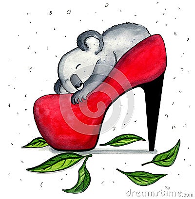 Cute coala sleeping in the red woman`s shoes Cartoon Illustration