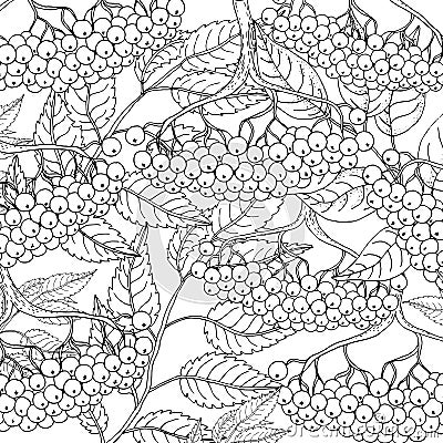 Cute colorful floral viburnum set on white background Hand drawn vector illustration Vector Illustration