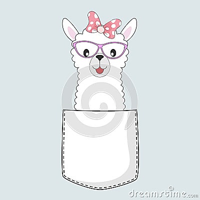 Cute cool baby llama girl in the pocket isolated on blue background Vector Illustration