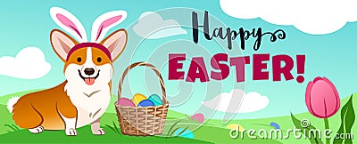 Cute corgi dog in Easter bunny costume sits in green field, basket full of candy eggs, eggs hidden in grass, vector cartoon Cartoon Illustration