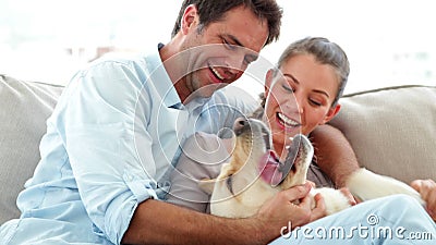 Cute Couple Petting Their Labrador Dog On The Couch Stock 