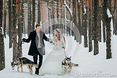 Cute couple walks on the trail in the snowy forest with two siberian dogs. Winter wedding. Artwork Stock Photo