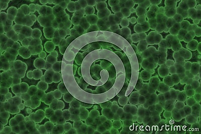 cute creative green many biological bacteria digitally made texture illustration Cartoon Illustration