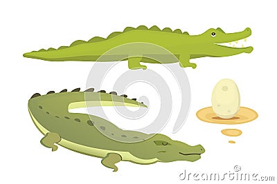 Cute Crocodile set. Aligator vector cartoon illustration Vector Illustration