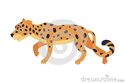 Cute crouching baby leopard. Side view of beautiful wild predator animal cartoon vector illustration Vector Illustration