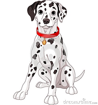 Cute Dalmatian Dog Vector Illustration