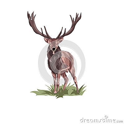 Cute Deer on Camera Action Vector Illustration