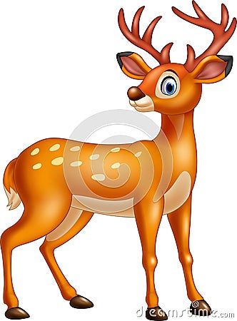 Cute deer cartoon Vector Illustration