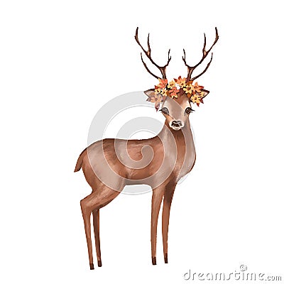 Cute deer. Forest animal. Autumn nature illustration Cartoon Illustration