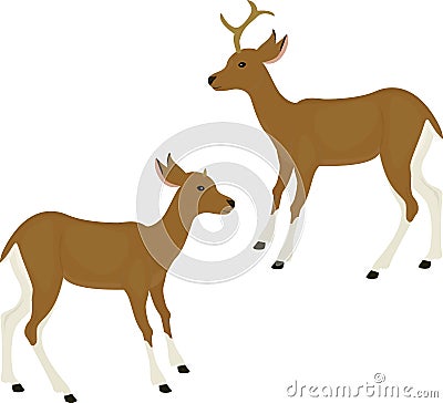 Cute deer icon isolated on white Vector Illustration